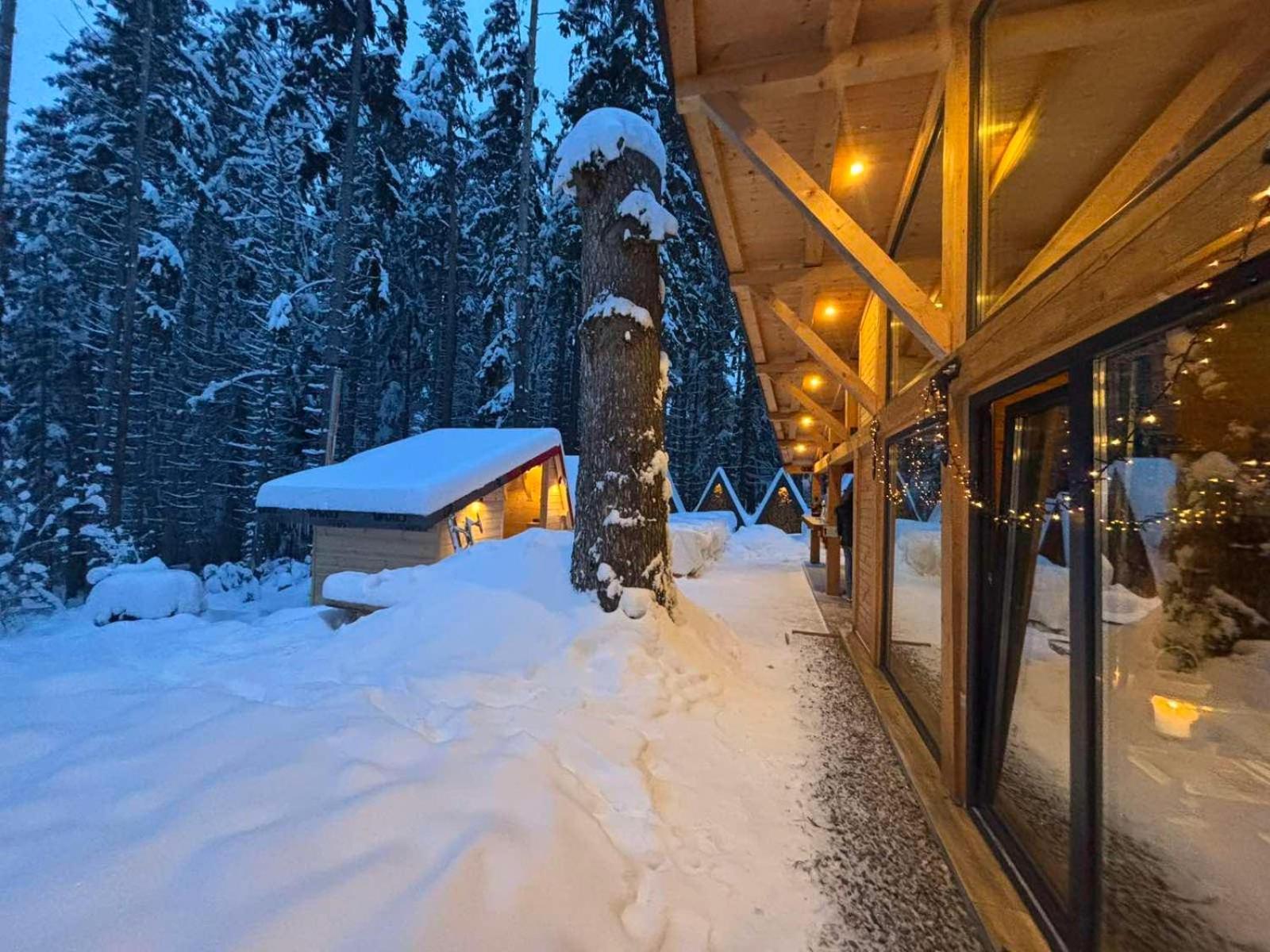 Algara Hut Hotel Panicişte Exterior foto