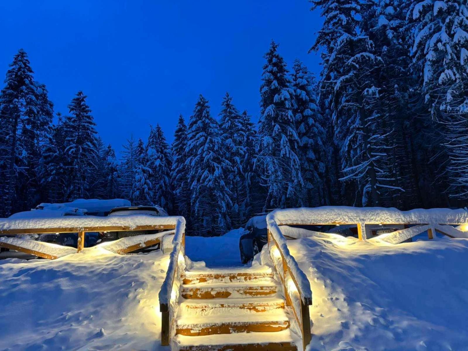 Algara Hut Hotel Panicişte Exterior foto